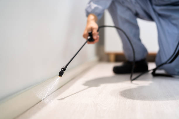 Professional exterminator conducting IPM assessment in Inwood